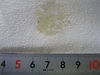 SANY0070.JPG