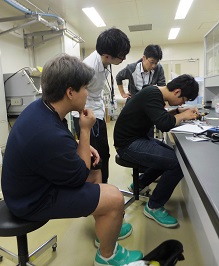 ミュオンスピン緩和実験（東海村、J-PARC）