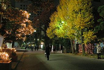 ��